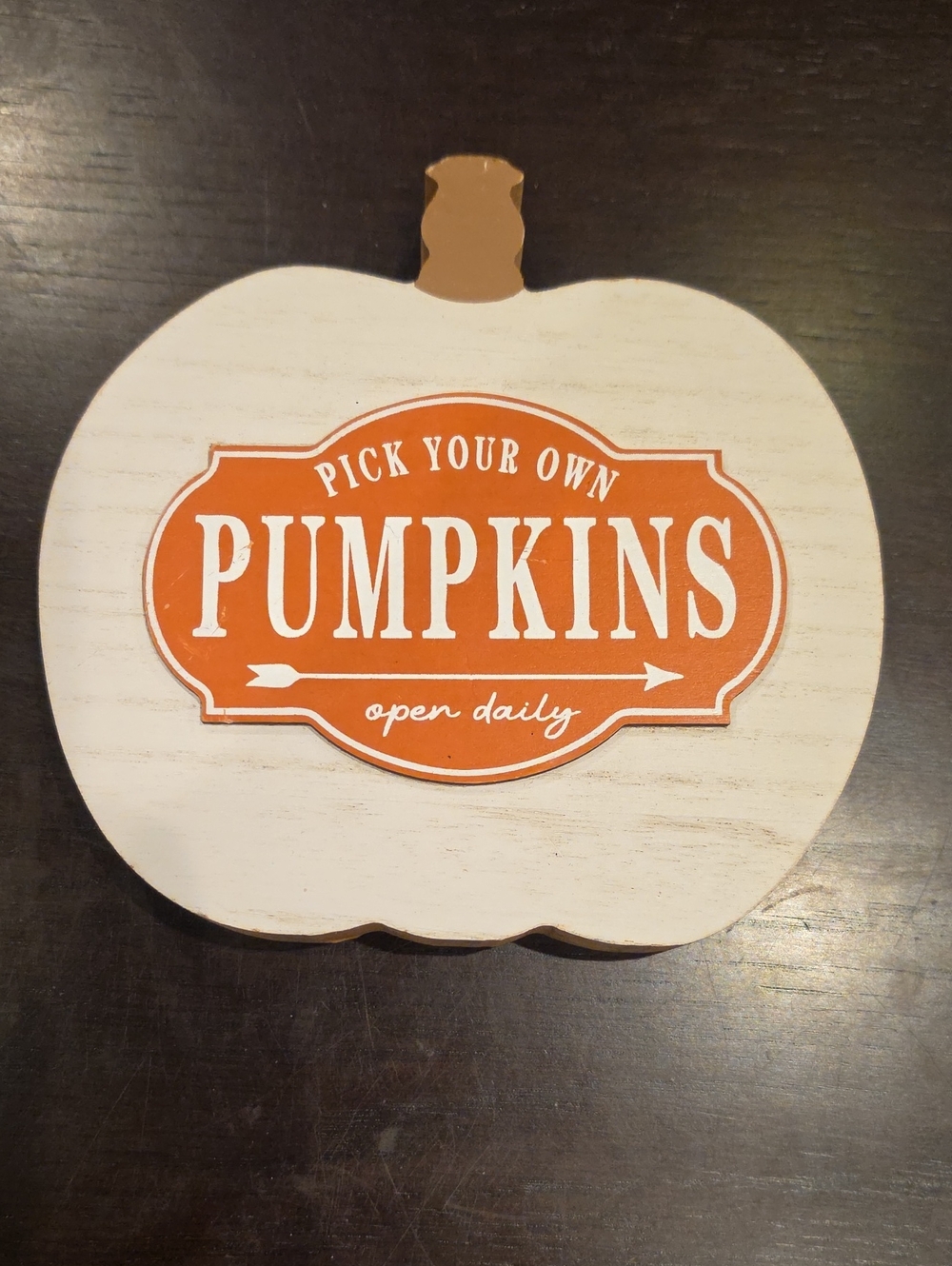 Rustic White Pumpkin Sign with Orange 'Pumpkins' Label - Home Decor